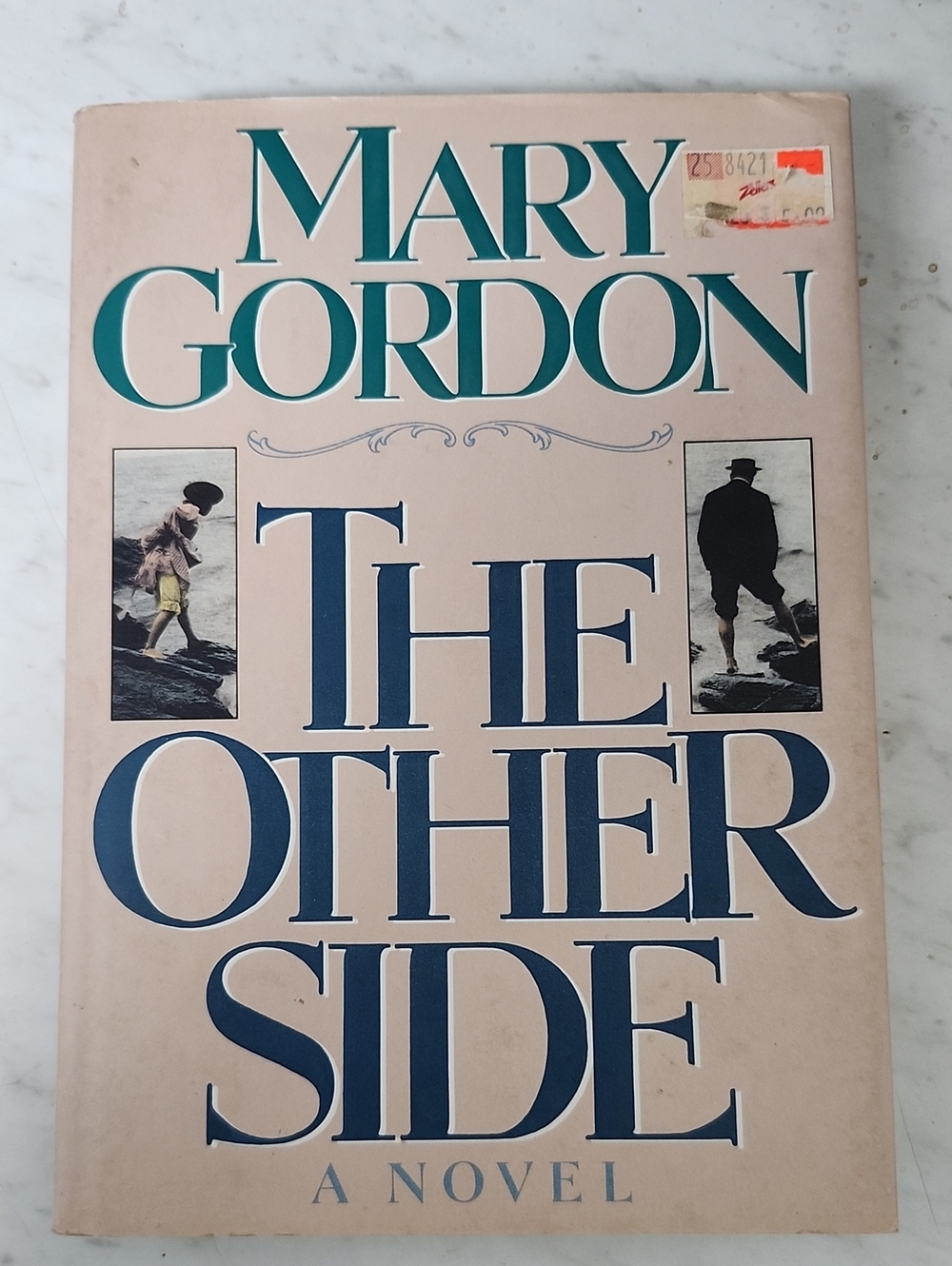 The Other Side Novel Hardcover